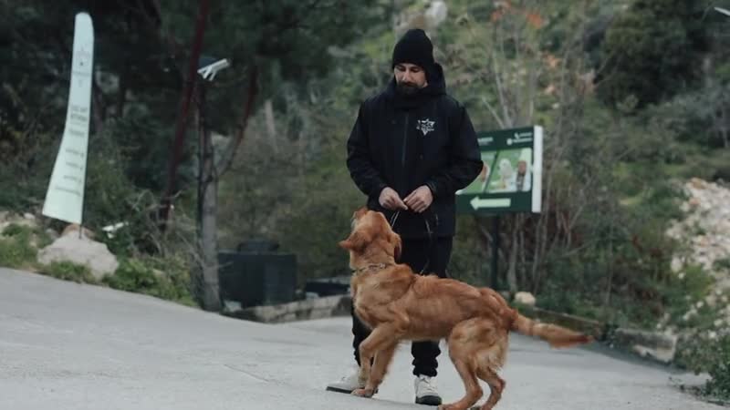 A trainer working with a dog outdoors